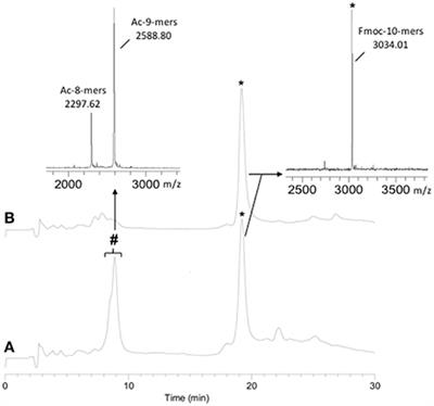 Solid-Phase Synthesis of Difficult Purine-Rich PNAs through Selective Hmb Incorporation: Application to the Total Synthesis of Cell Penetrating Peptide-PNAs